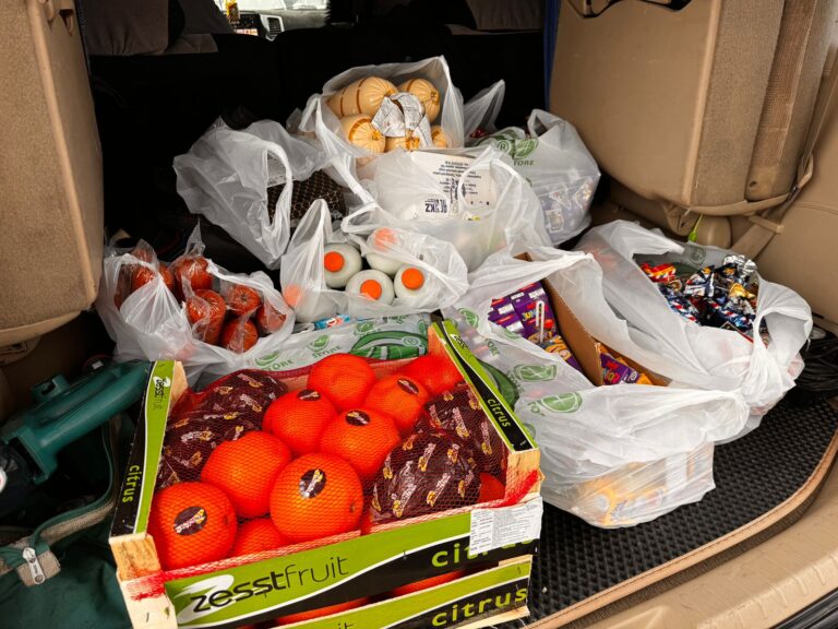 Детский дом Ковчег